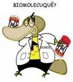 Biomolecuque.jpg